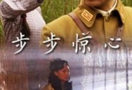 步步惊心2010