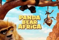 来自中国的熊猫