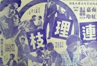 连理枝1960