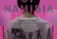 纳米比亚的沙漠