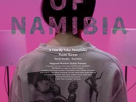 纳米比亚的沙漠