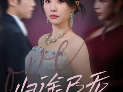 归途已无来时人