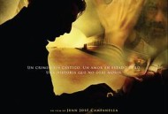 谜一样的双眼2009