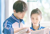 一根木头第一季MP4格式