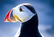 赫布里底群岛－边缘的群岛