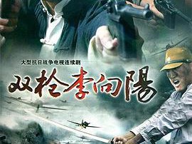 双枪李向阳MP4格式