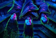 吸血鬼生活第一季