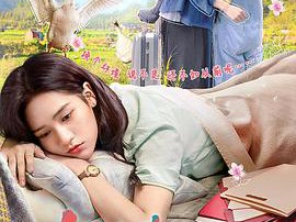 何加加的桃花源记MP4格式