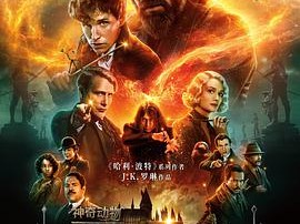 神奇动物：邓布利多之谜