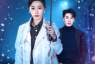 她曾如天光般明亮