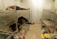 哈尔滨猫脸老太太事件还原：死亡老太突然复活_灵异鬼话_UFO发现网