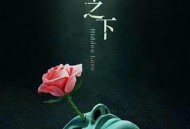 假面迷情MP4格式