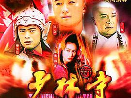 新少林寺MP4格式