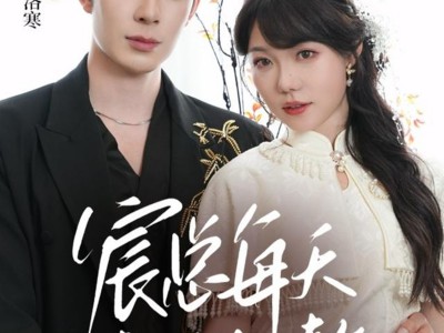 宸总每天都想入赘