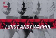我杀了安迪·沃霍尔