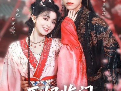 王妃临门全城上下有喜了