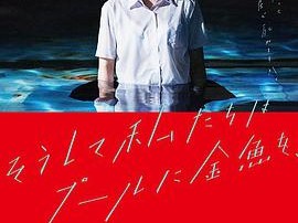 就这样，我们把金鱼放入了泳池