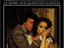 茶花女1995