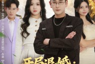 开局退婚：神医高手闯都市