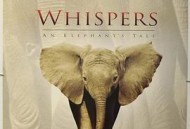 小象的故事2000国语