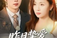 昨日挚爱不可留