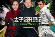 太子妃升职记MP4格式