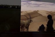 何处是巧克力山