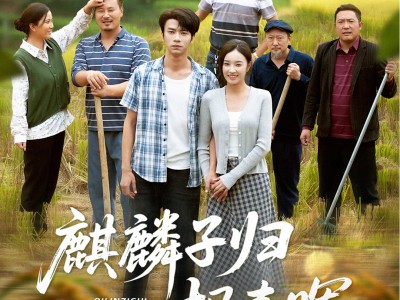 麒麟子归报春晖