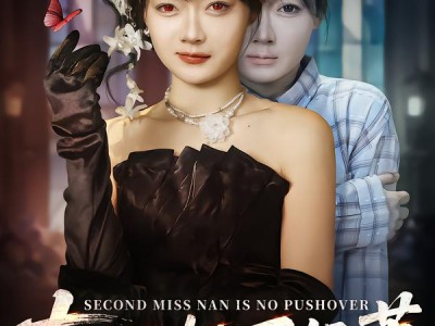 南二小姐不好惹