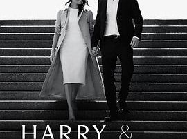 哈里王子与梅根