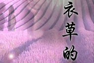 薰衣草的香