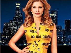 罪案终结第五季