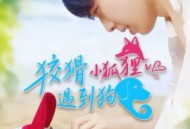 狡猾小狐狸遇到狗