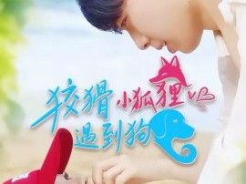 狡猾小狐狸遇到狗