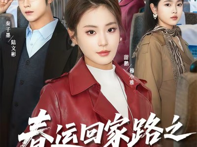 春运回家路之绝地反杀