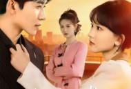 你护白月光，我掀你豪门底