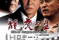 龙虎人生王志文版MP4格式