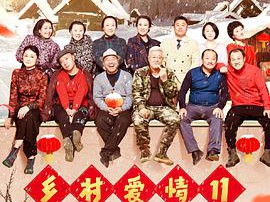 乡村爱情11MP4格式