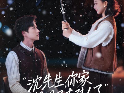 沈先生，你家小保姆又去怼人了