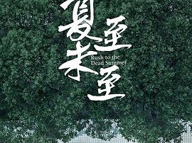 夏至未至MP4格式