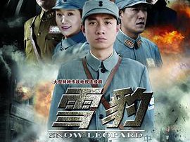 雪豹2010MP4格式
