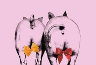 陷阱，陷阱，小陷阱