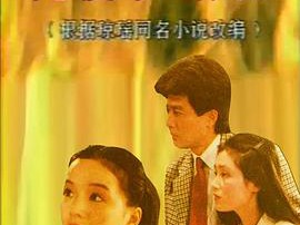 几度夕阳红1989MP4格式