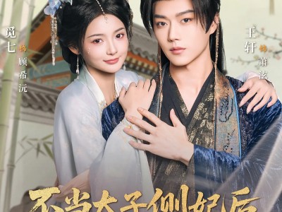 不当太子侧妃后，我被王爷宠成宝