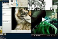 别惹猫咪：追捕虐猫者