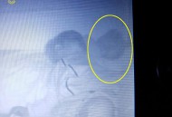 英国德文郡家中监控拍到“鬼婴”陪儿子同床睡 父亲吓得冲上楼却什么都没看到_灵异鬼话_UFO发现网