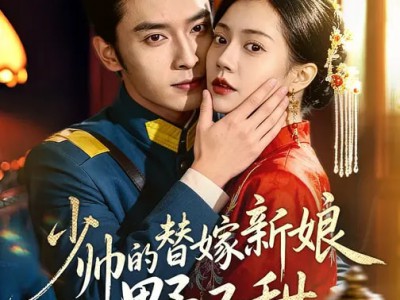 少帅的替嫁新娘野又甜