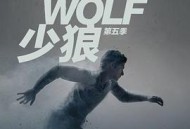 少狼第五季