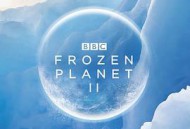 冰冻星球第二季