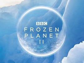 冰冻星球第二季